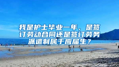 我是护士毕业一年，是签订劳动合同还是签订劳务派遣制属于应届生？