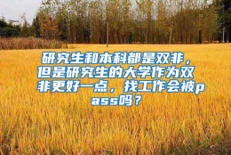 研究生和本科都是双非，但是研究生的大学作为双非更好一点，找工作会被pass吗？