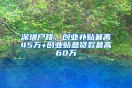 深圳户籍，创业补贴最高45万+创业贴息贷款最高60万