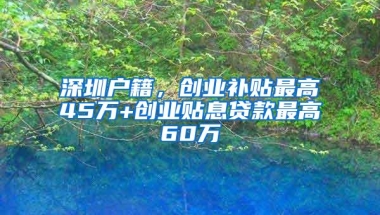 深圳户籍，创业补贴最高45万+创业贴息贷款最高60万