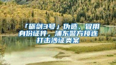 「砺剑3号」伪造、冒用身份证件，浦东警方接连打击涉证类案