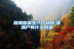 深圳应届生入户补贴,落深户有什么好处