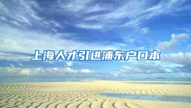 上海人才引进浦东户口本