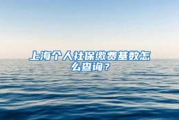 上海个人社保缴费基数怎么查询？