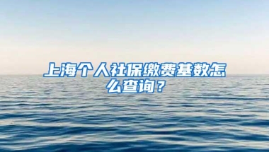 上海个人社保缴费基数怎么查询？