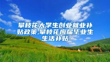 攀枝花大学生创业就业补贴政策,攀枝花应届毕业生生活补贴