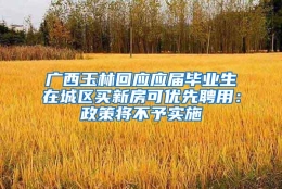 广西玉林回应应届毕业生在城区买新房可优先聘用：政策将不予实施