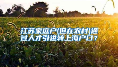 江苏家庭户(但在农村)通过人才引进转上海户口？