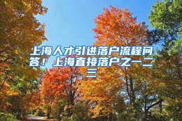 上海人才引进落户流程问答！上海直接落户之一二三