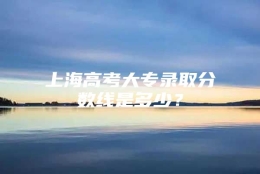 上海高考大专录取分数线是多少？