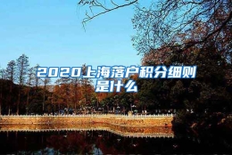 2020上海落户积分细则是什么