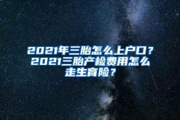 2021年三胎怎么上户口？2021三胎产检费用怎么走生育险？