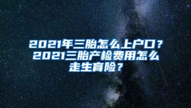 2021年三胎怎么上户口？2021三胎产检费用怎么走生育险？