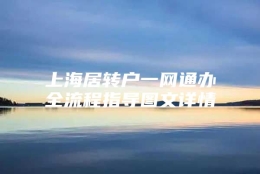 上海居转户一网通办全流程指导图文详情