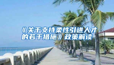 《关于支持柔性引进人才的若干措施》政策解读