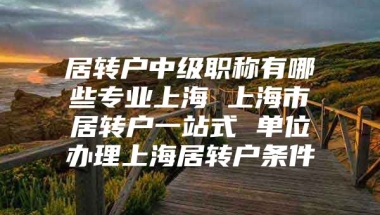 居转户中级职称有哪些专业上海 上海市居转户一站式 单位办理上海居转户条件