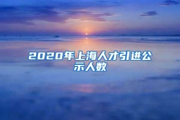 2020年上海人才引进公示人数