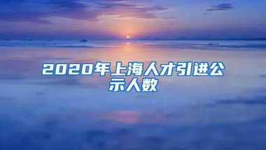 2020年上海人才引进公示人数