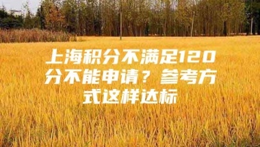 上海积分不满足120分不能申请？参考方式这样达标