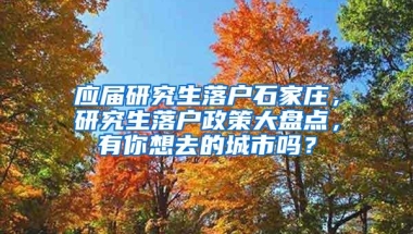 应届研究生落户石家庄，研究生落户政策大盘点，有你想去的城市吗？