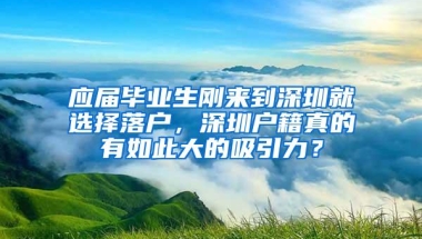 应届毕业生刚来到深圳就选择落户，深圳户籍真的有如此大的吸引力？