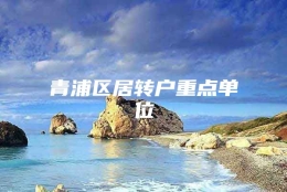 青浦区居转户重点单位