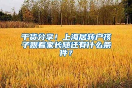 干货分享！上海居转户孩子跟着家长随迁有什么条件？