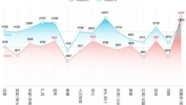 900万双非毕业生，敲不开大厂门？