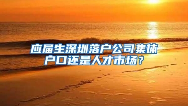 应届生深圳落户公司集体户口还是人才市场？