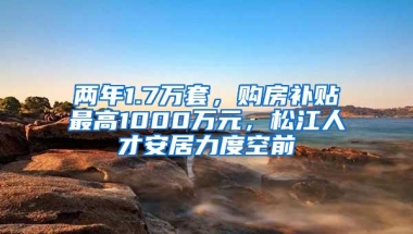 两年1.7万套，购房补贴最高1000万元，松江人才安居力度空前