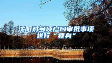 沈阳对多项户口审批事项进行“瘦身”