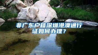 非广东户籍深圳港澳通行证如何办理？