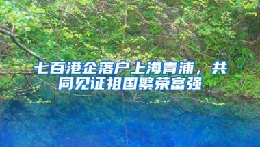 七百港企落户上海青浦，共同见证祖国繁荣富强