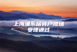 上海浦东居转户现场受理通过