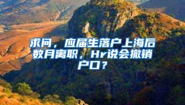 求问，应届生落户上海后数月离职，Hr说会撤销户口？