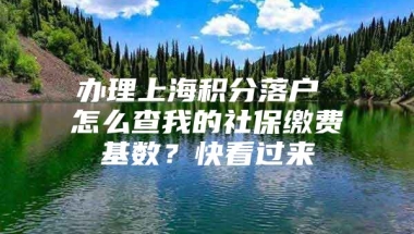 办理上海积分落户 怎么查我的社保缴费基数？快看过来→