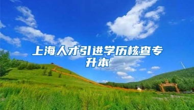 上海人才引进学历核查专升本