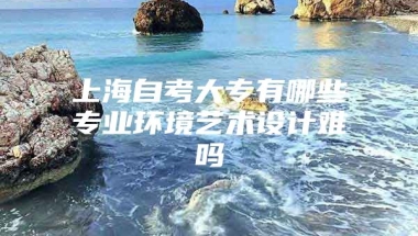 上海自考大专有哪些专业环境艺术设计难吗