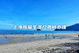 上海应届生落户如何办理