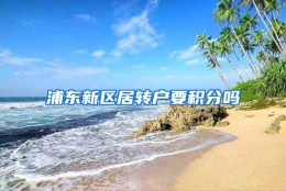 浦东新区居转户要积分吗