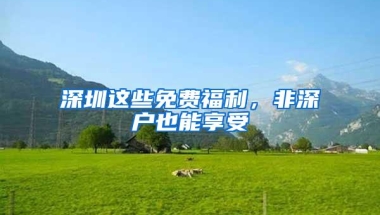 深圳这些免费福利，非深户也能享受