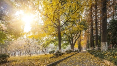 华东师范大学：对不起，上海财经大学，我的应届生可直接落户上海