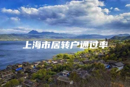 上海市居转户通过率