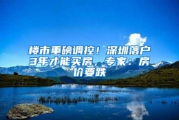 楼市重磅调控！深圳落户3年才能买房，专家：房价要跌