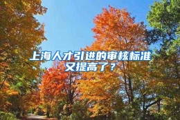 上海人才引进的审核标准又提高了？