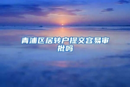 青浦区居转户提交容易审批吗