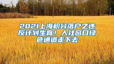 2021上海积分落户之违反计划生育！人社窗口绿色通道走下去