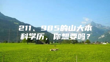 211、985的山大本科学历，你想要吗？