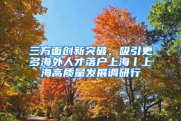 三方面创新突破，吸引更多海外人才落户上海丨上海高质量发展调研行