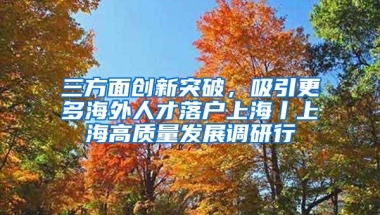 三方面创新突破，吸引更多海外人才落户上海丨上海高质量发展调研行